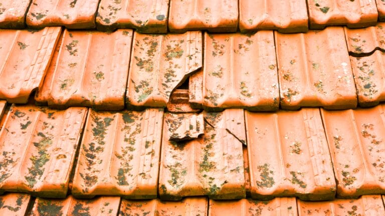 Nahaufnahme von orangefarbenen Dachziegeln mit sichtbarem Moos und Schmutz, die den Dachzustand hervorheben; ein Ziegel in der Mitte ist gerissen und gebrochen.